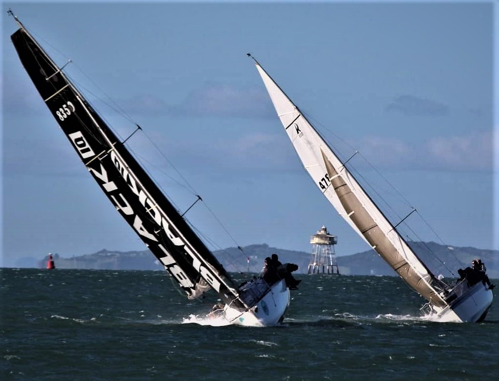 Sail IQ Racing Sails